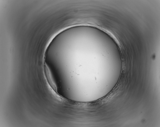 X0000099511532200805291138
