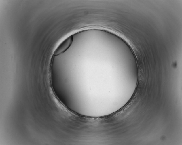 X0000099511534200805291138