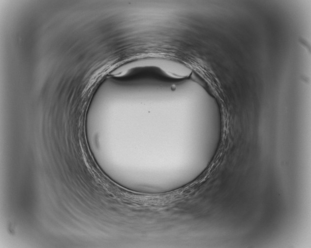 X0000099510001200806051158