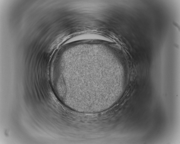 X0000099510002200806051158