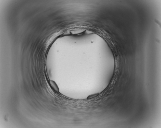 X0000099510003200806051158