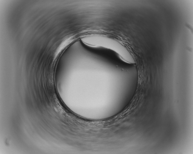 X0000099510004200806051158