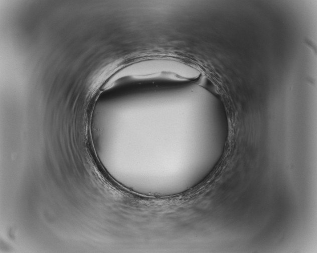 X0000099510005200806051158