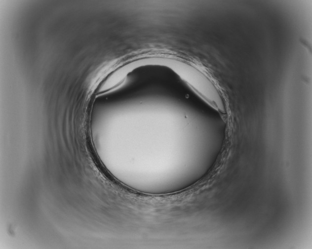 X0000099510007200806051158