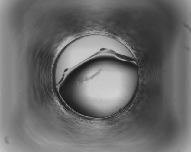 X0000099510008200806051158