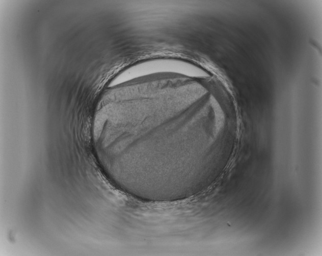 X0000099510009200806051158