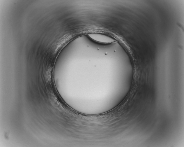 X0000099510010200806051158