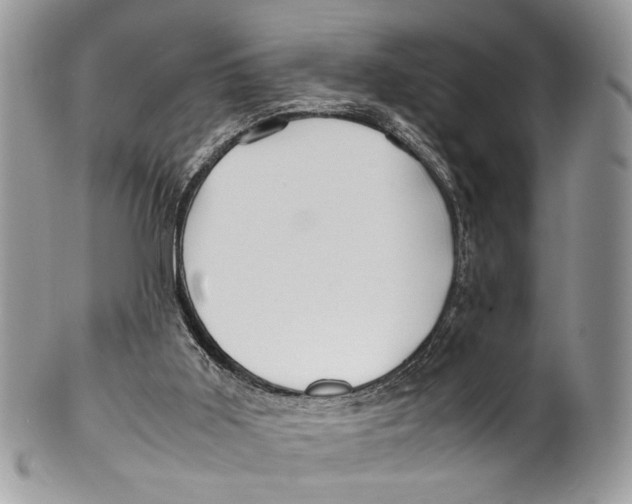 X0000099510011200806051158