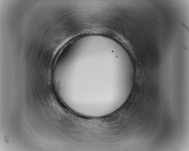 X0000099510012200806051158