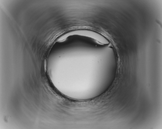 X0000099510013200806051158