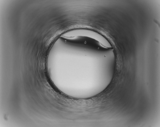 X0000099510015200806051158