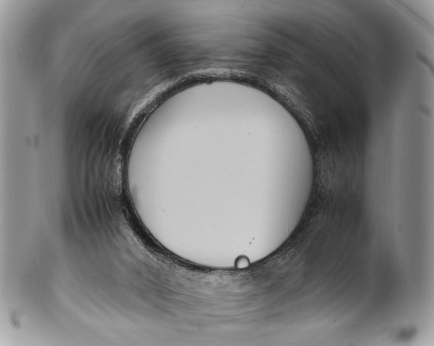 X0000099510016200806051158