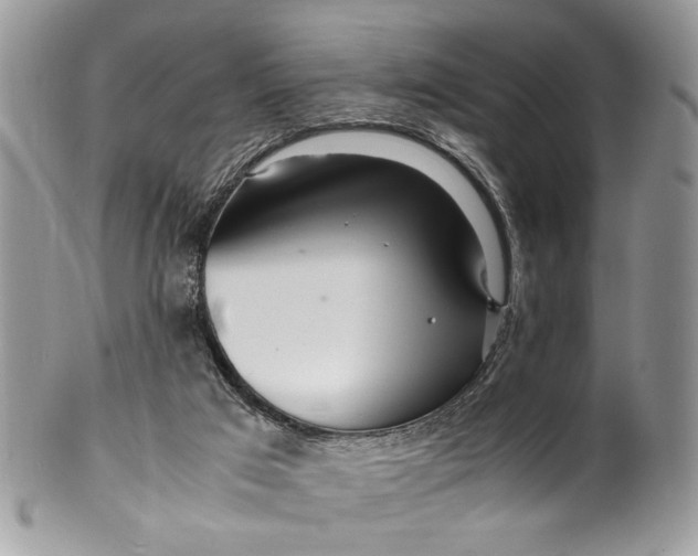 X0000099510017200806051158