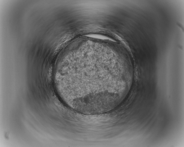 X0000099510018200806051158