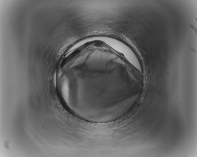 X0000099510019200806051158