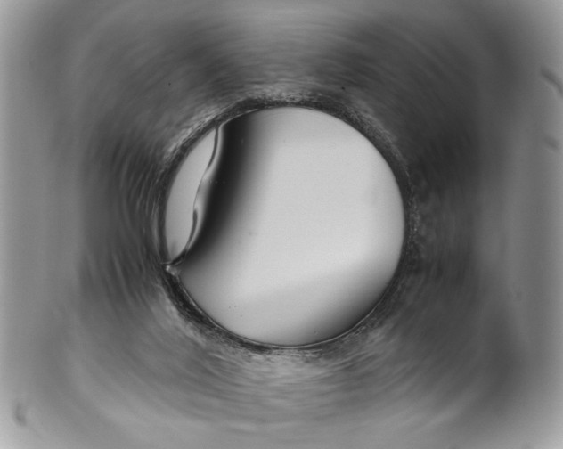 X0000099510020200806051158