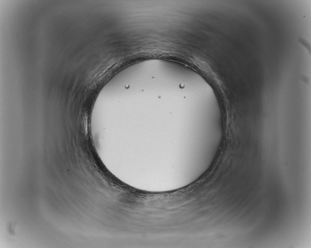 X0000099510021200806051158