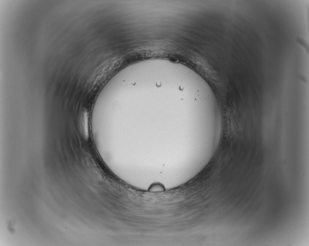 X0000099510022200806051158