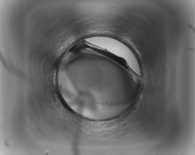 X0000099510023200806051158