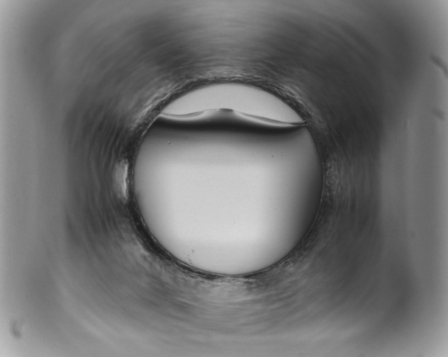 X0000099510024200806051158