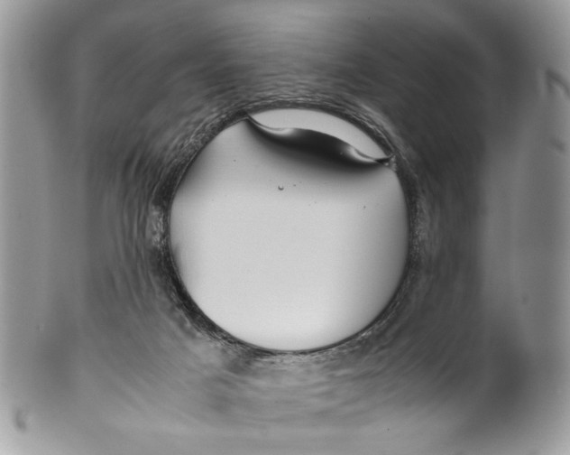 X0000099510025200806051158