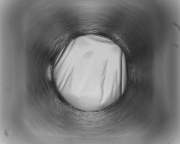 X0000099510026200806051158