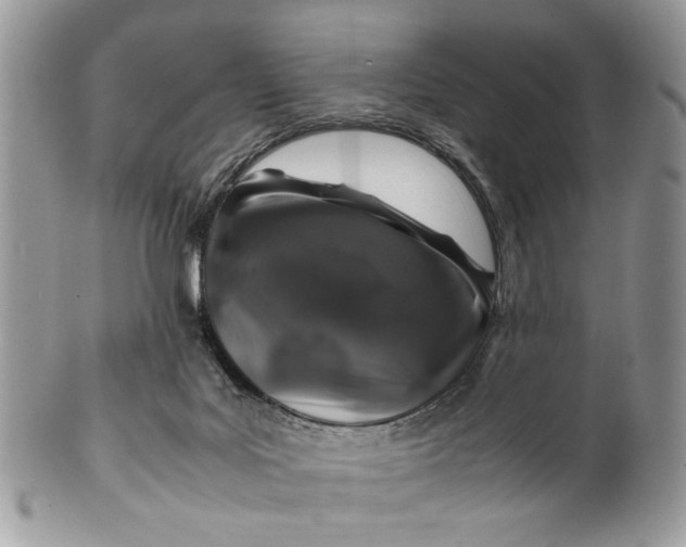 X0000099510027200806051158