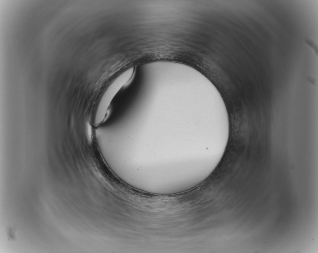 X0000099510028200806051158