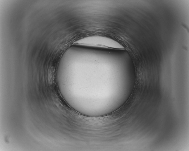 X0000099510030200806051158