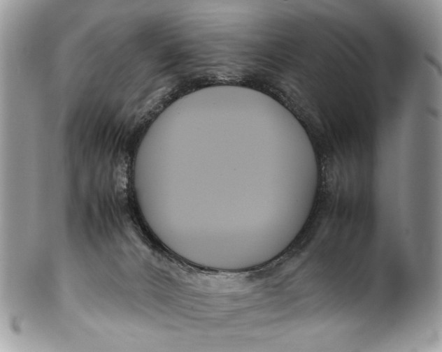 X0000099510032200806051158