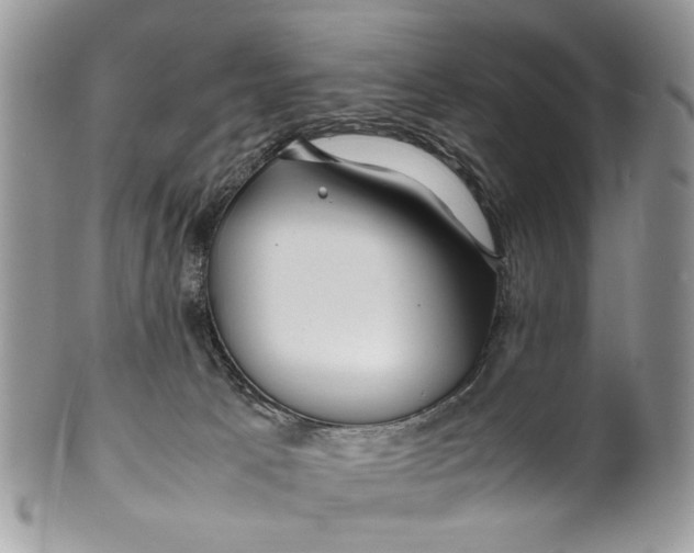 X0000099510033200806051158