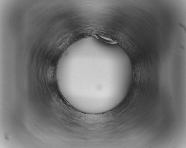 X0000099510034200806051158