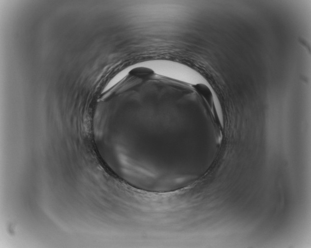 X0000099510035200806051158