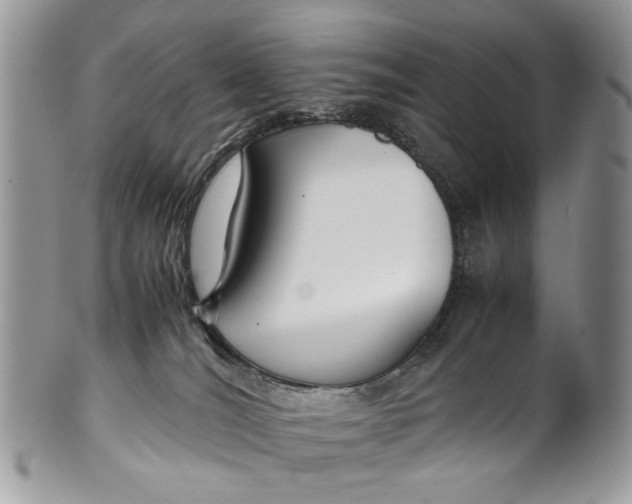 X0000099510036200806051158