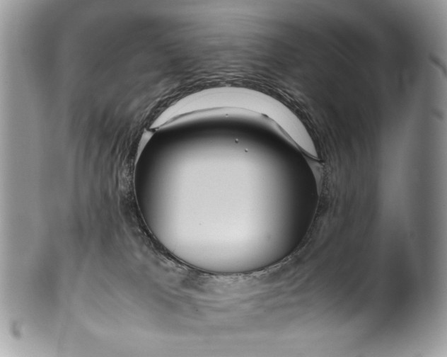 X0000099510037200806051158