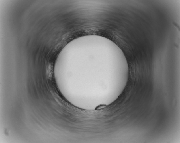 X0000099510038200806051158