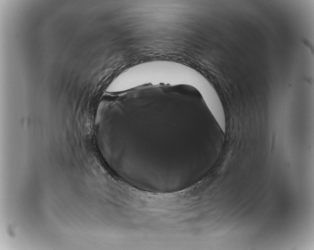 X0000099510039200806051158