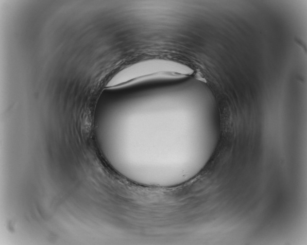 X0000099510040200806051158