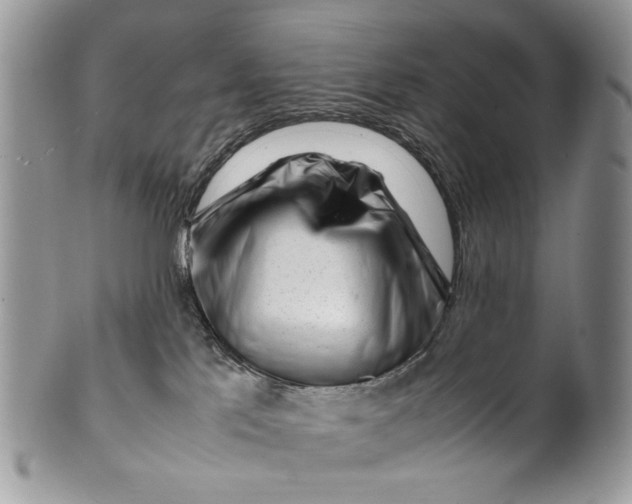 X0000099510041200806051158