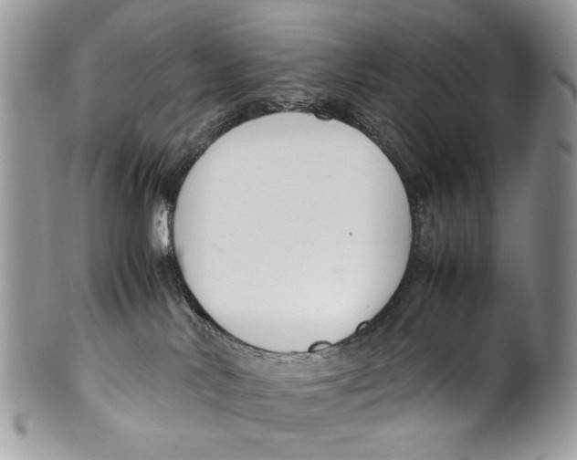 X0000099510042200806051157