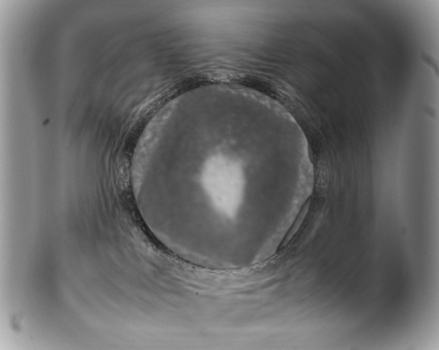 X0000099510043200806051157