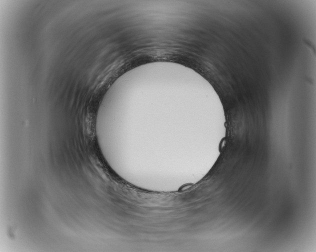 X0000099510044200806051157