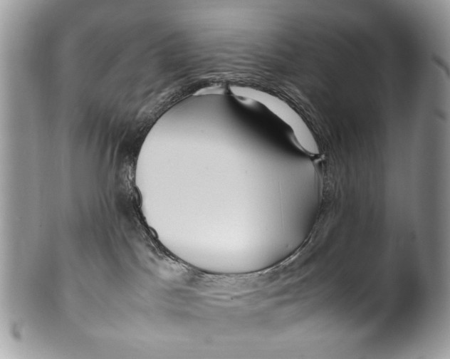 X0000099510045200806051157