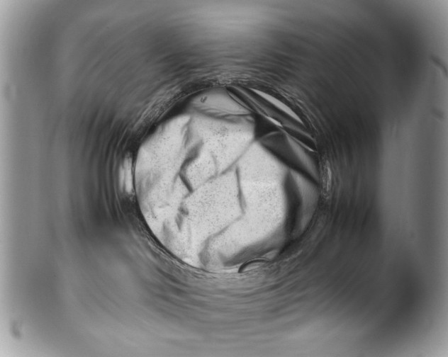 X0000099510046200806051157