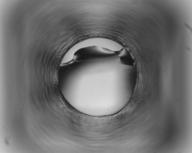 X0000099510048200806051157