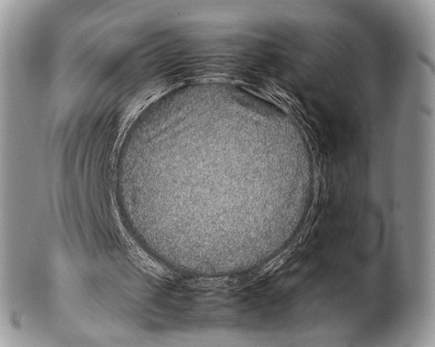 X0000099510049200806051157