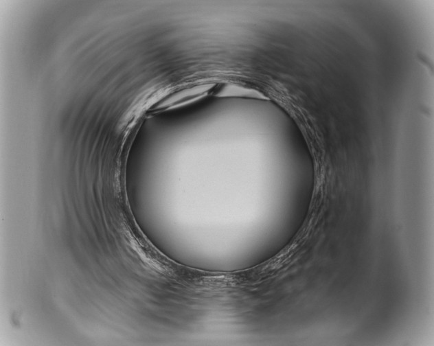 X0000099510050200806051157