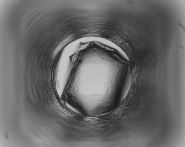 X0000099510051200806051157