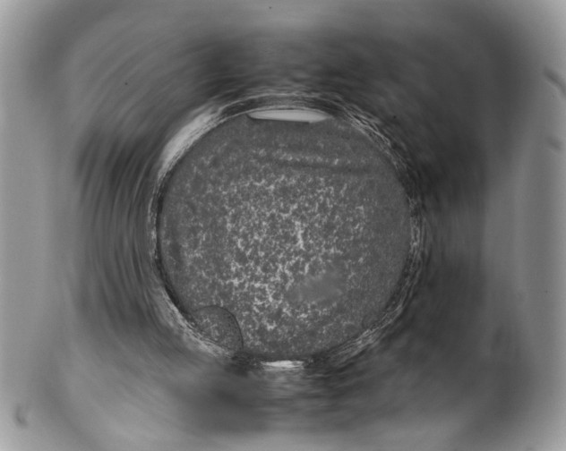 X0000099510053200806051157