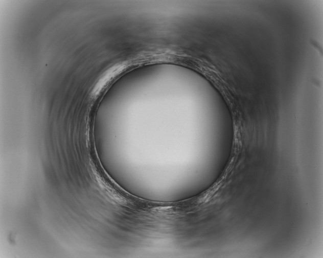 X0000099510054200806051157